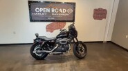 2016 Harley-Davidson® Roadster™ Vivid Black & Charcoal Denim Pinstripe