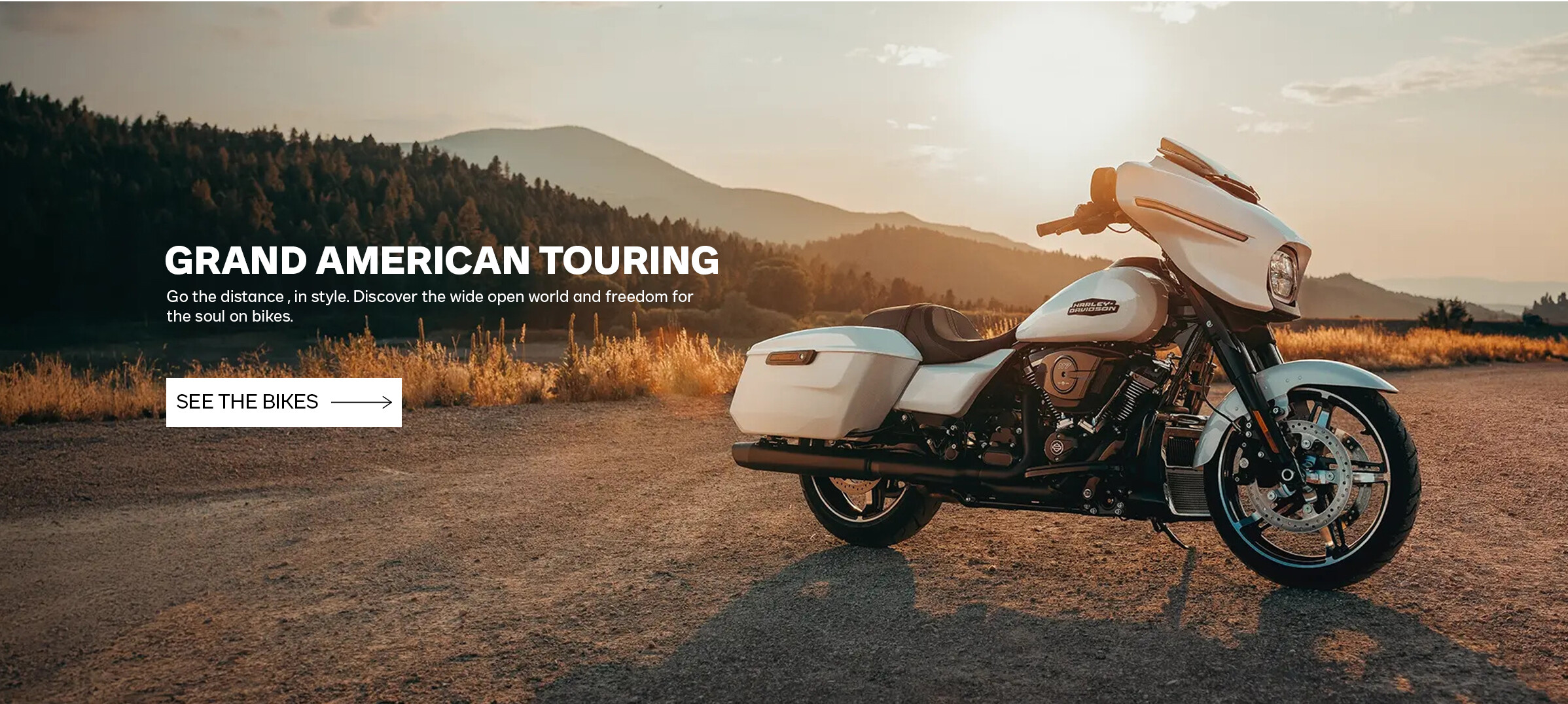 https://harley-davidsonofcebu.com/showroom/4/harley-davidson/3/motorcycles/collection/353/tag/9