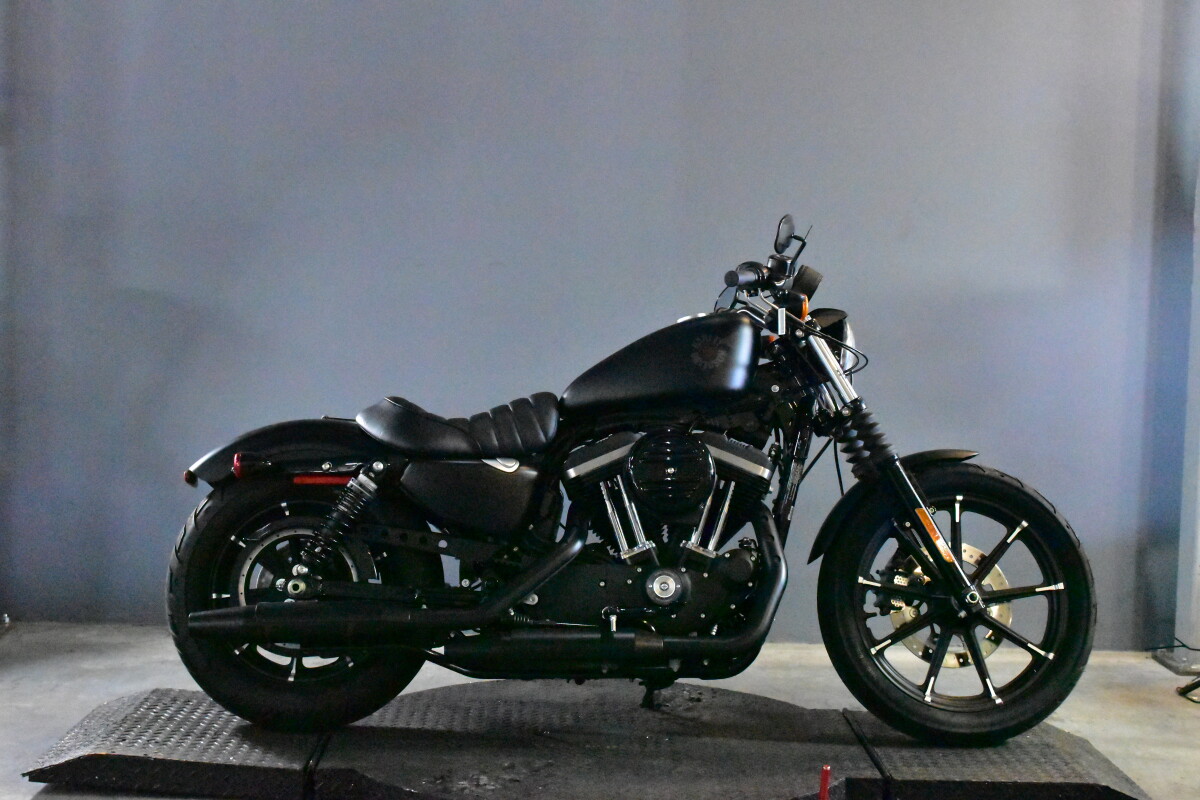 2021 Harley-Davidson® Iron 883™ XL 883N | Alligator Alley Harley