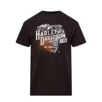 MUSKA MAJICA HARLEY-DAVIDSON SRBIJA 40294775