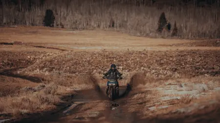 2025 Harley-Davidson® Pan America® 1250 Special vs BMW R1250GS for Fayetteville Touring Riders
