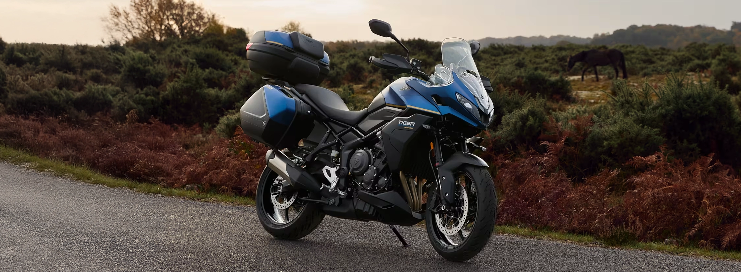 2026 Tiger Sport 800 Tour