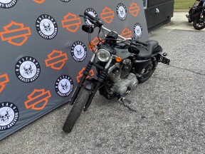 XL1200R 2019 Roadster™ thumb 2