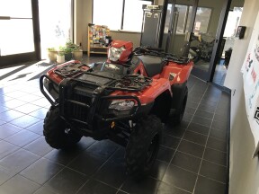 FourTrax Foreman® Rubicon 4x4 EPS thumb 3