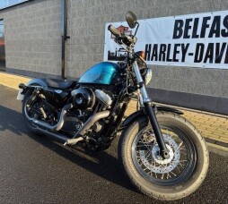 Sportster 48 lots of extras Hard Candy Cancun Blue Flake thumb 1