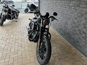 2019 Harley-Davidson® Iron 883™ Black Denim thumb 0