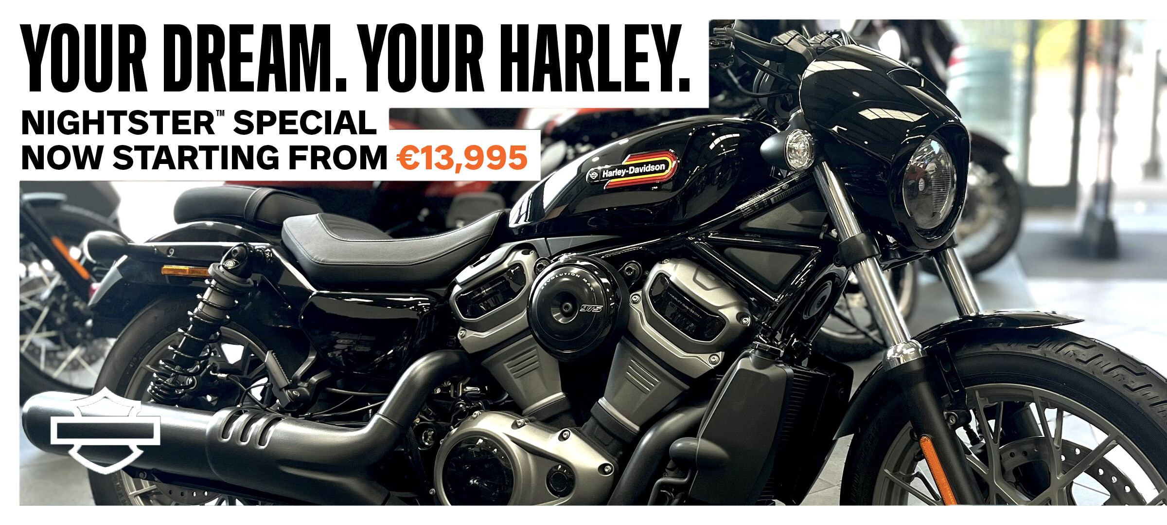 Nightster Special Price