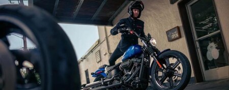 Life in the Saddle: Our Top Picks for Cinco Ranch Riders