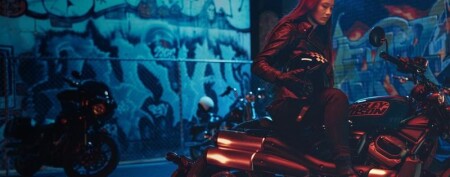 The Million-Dollar Question: What’s the Most Popular Harley-Davidson?