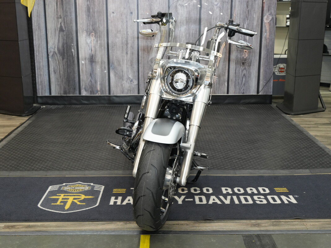 2020 Harley-Davidson Fat Boy 114, photo 7