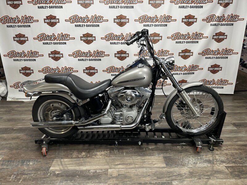 2007 Harley-Davidson Standard