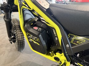 2026 TRIUMPH TXP-12 thumb 1