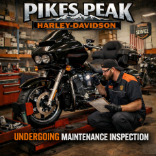 2021 Harley-Davidson® Pan America™ 1250 Special thumb 3