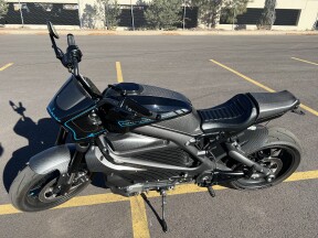 2020 Harley-Davidson® LiveWire™ thumb 0