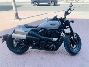 2025 Harley-Davidson® Sportster™ S Billiard Gray thumb 2