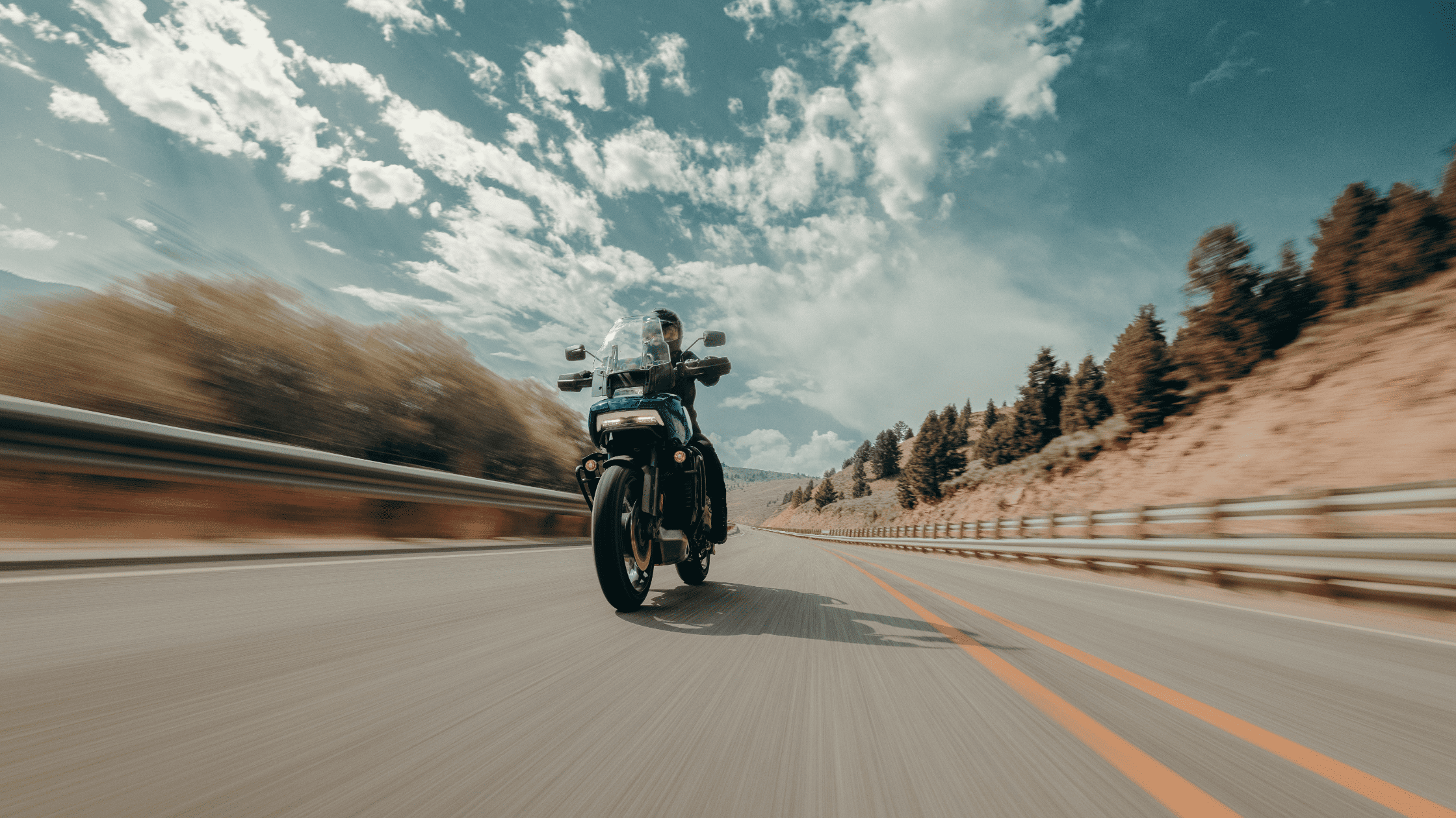 2025 Harley-Davidson® Pan America® 1250 Special