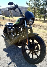 2021 Harley-Davidson® Iron 1200™ XL 1200NS thumb 2