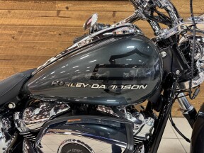 2026 Harley-Davidson® Breakout® Iron Horse Metallic Chrome Trim FXBR thumb 3