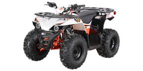 2025 Kayo Bull 110 Black thumb 3