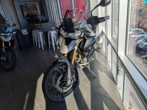 2025 Triumph Tiger 1200 Rally Pro thumb 1