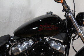 FXST 2024 Softail™ Standard thumb 1