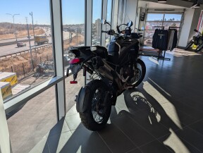 2025 Triumph Tiger 1200 Rally Pro thumb 2