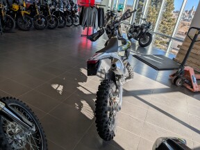 2026 Triumph TF 450-E thumb 1