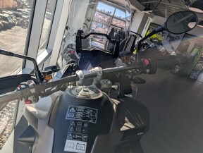 2025 Triumph Tiger 1200 Rally Pro thumb 0