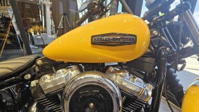 2025 Street Bob® FXBB thumb 0