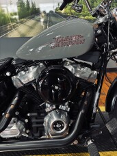 2024 Harley-Davidson® Softail™ Standard BILLIARD GRAY thumb 3