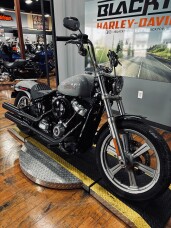 2024 Harley-Davidson® Softail™ Standard BILLIARD GRAY thumb 0