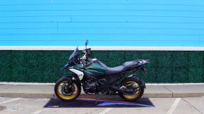 2025 BMW Motorrad R 1300 GS thumb 3