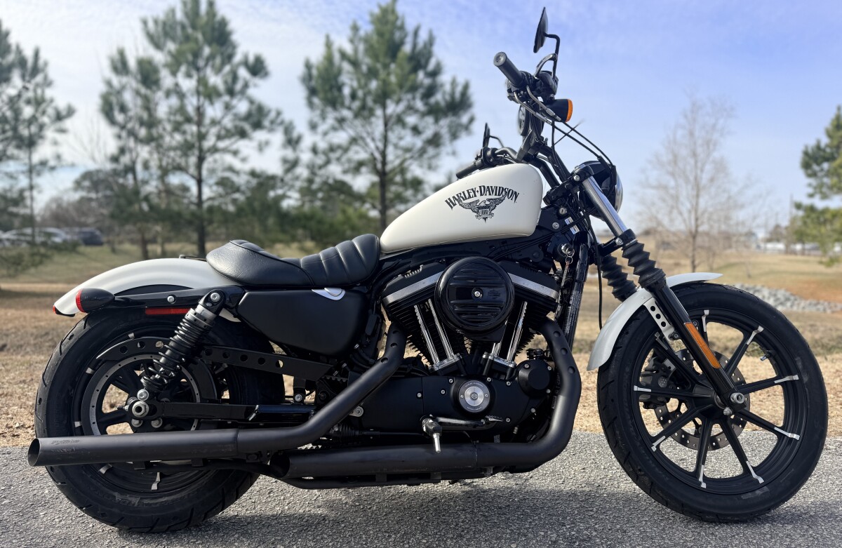 Iron 883™ | Black Sheep Harley-Davidson
