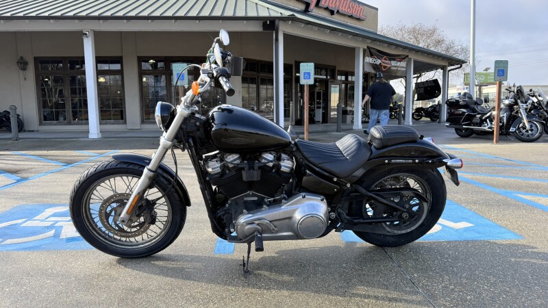 2020 Harley-Davidson® Softail Standard®