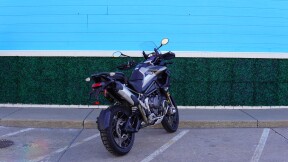 2025 Triumph Tiger 1200 Rally Pro thumb 1
