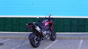 2025 Triumph Tiger 1200 GT Pro thumb 1