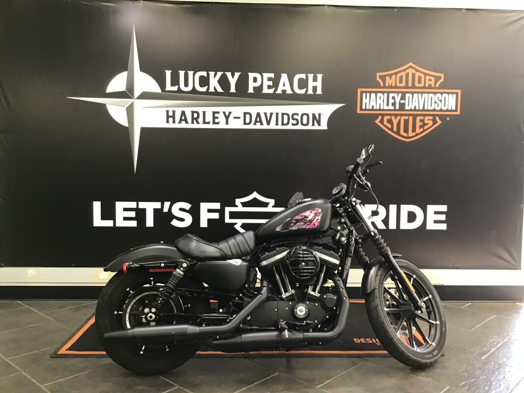 Iron 883™ | Buckeye Harley-Davidson®