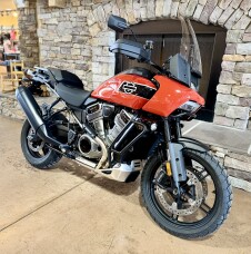 2026 RA1250S - Pan America Special thumb 3