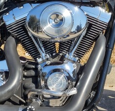 Harley-Davidson® Low Rider® 2005 thumb 2