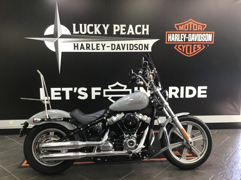 2024 Harley-Davidson® Softail® Standard Billiard Gray