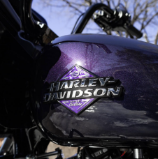 Road Glide 2025  thumb 3
