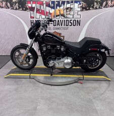 2023 FXST Softail® Standard  thumb 0