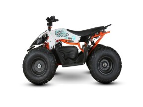 2026 KAYO EA 110 WHITE thumb 1