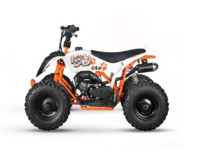 2026 KAYO A 50 ORANGE thumb 1