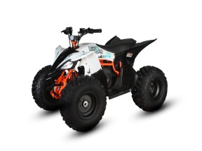 2026 KAYO EA 110 WHITE thumb 2
