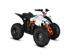 2026 KAYO EA 110 WHITE thumb 3