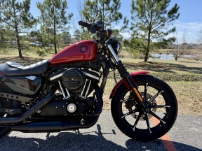 2019 Harley-Davidson® Iron 883™ XL 883N thumb 1