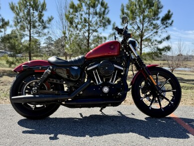 2019 Harley-Davidson Iron 883 XL 883N