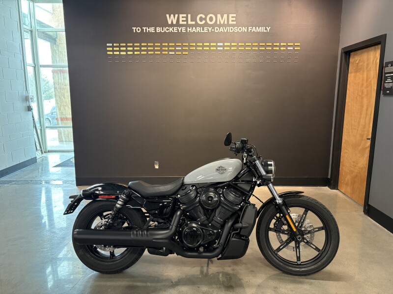 2025 Harley-Davidson® Nightster® Special Billiard Gray