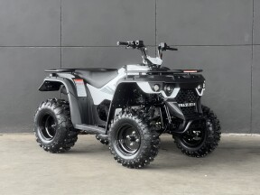 2026 LINHAI M170 WHITE thumb 3